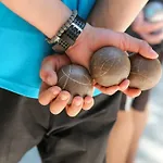 Parc Bellevue - Maeva Camping Cannes